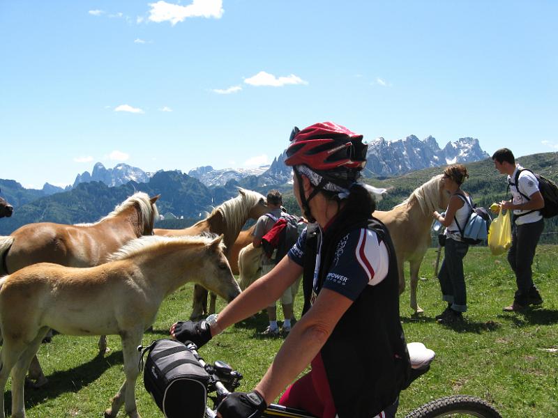 DOLOMITI2009 (116).JPG